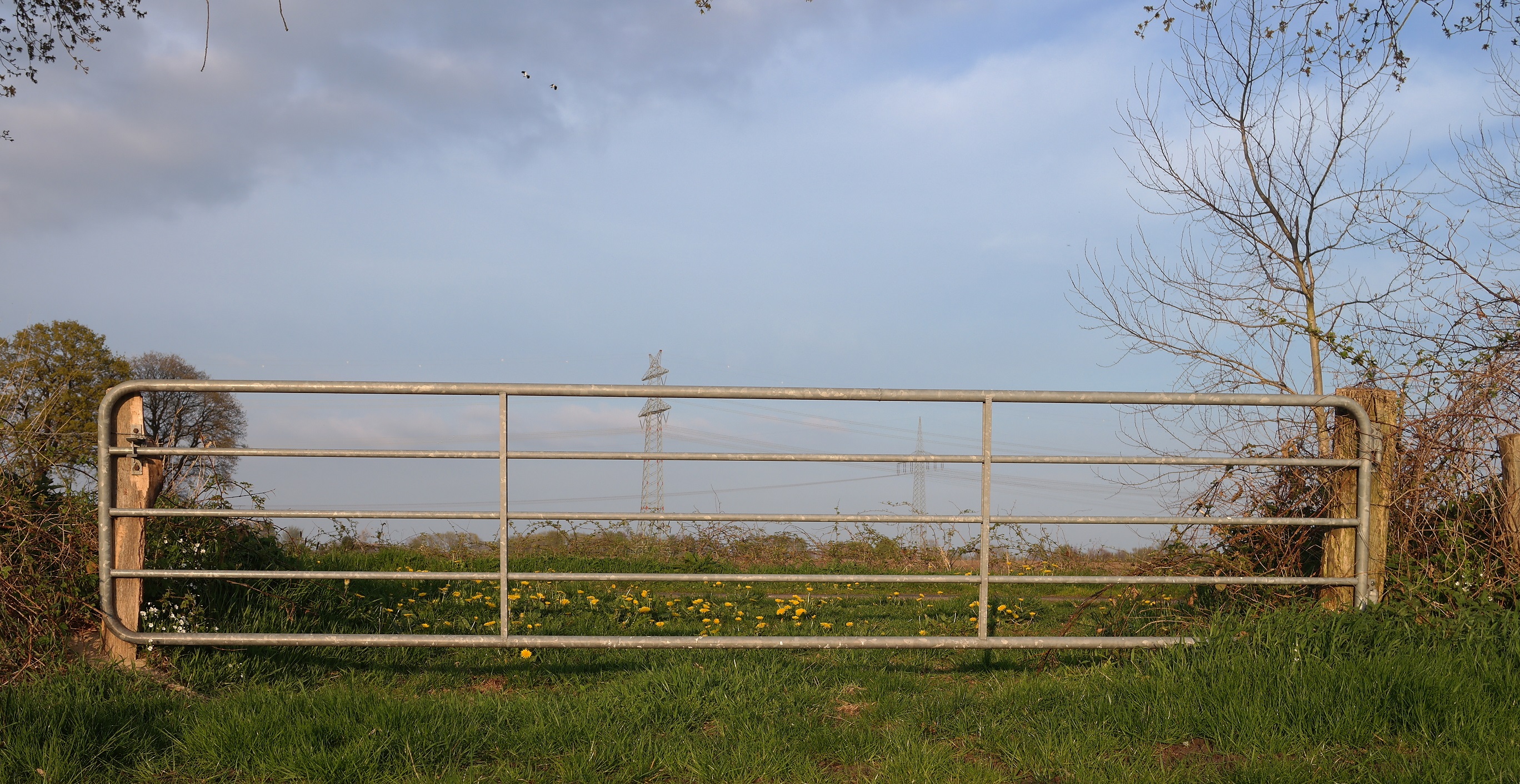 Weidetor mit 3 Innenrohren BMB